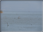 foto Lago di Garda